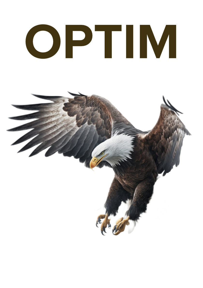 Optimizers